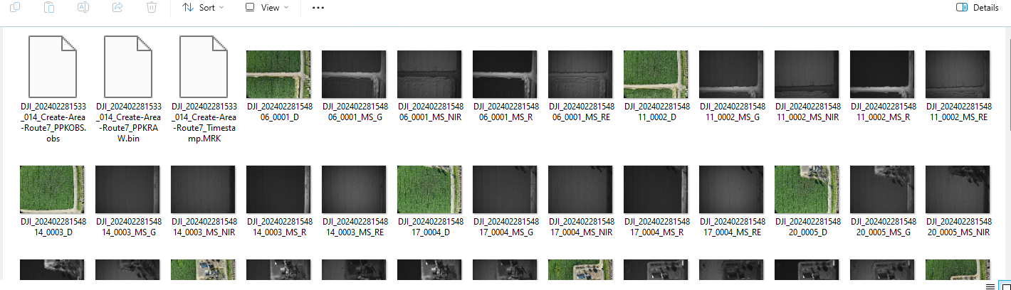 Multispectral Sprouting Corn Dataset - 350ft AGL - Mavic 3 Multispectral