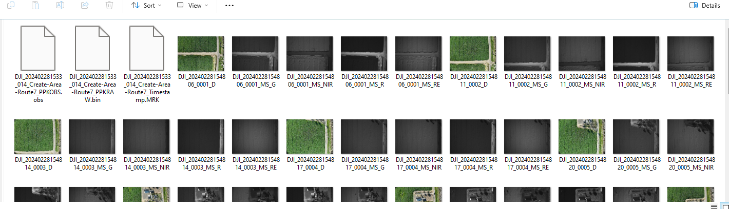 Multispectral Sprouting Corn Dataset - 350ft AGL - Mavic 3 Multispectral (FREE for 30 days!!)