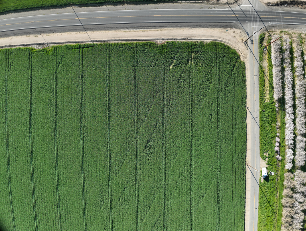 Multispectral Sprouting Corn Dataset - 350ft AGL - Mavic 3 Multispectral