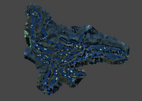 Golf Course Photogrammetry Dataset - Mavic 3 Multispectral - 400ft AGL 80/80